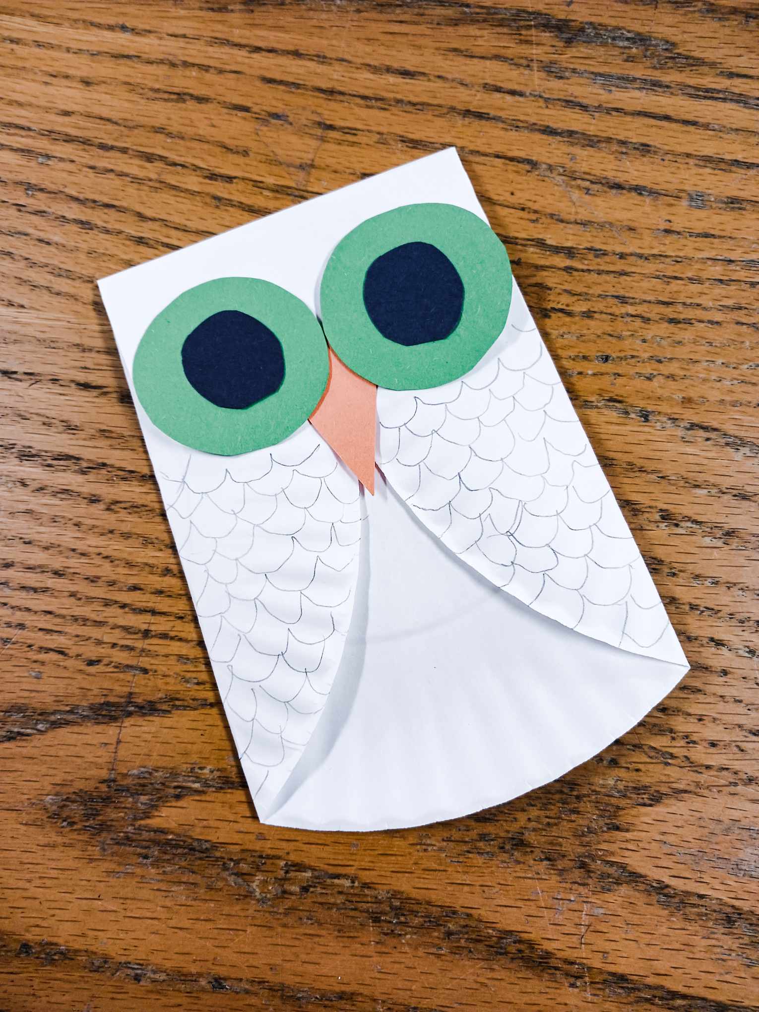 photograph of a white owl craft made with a paper plate on a wooden surface