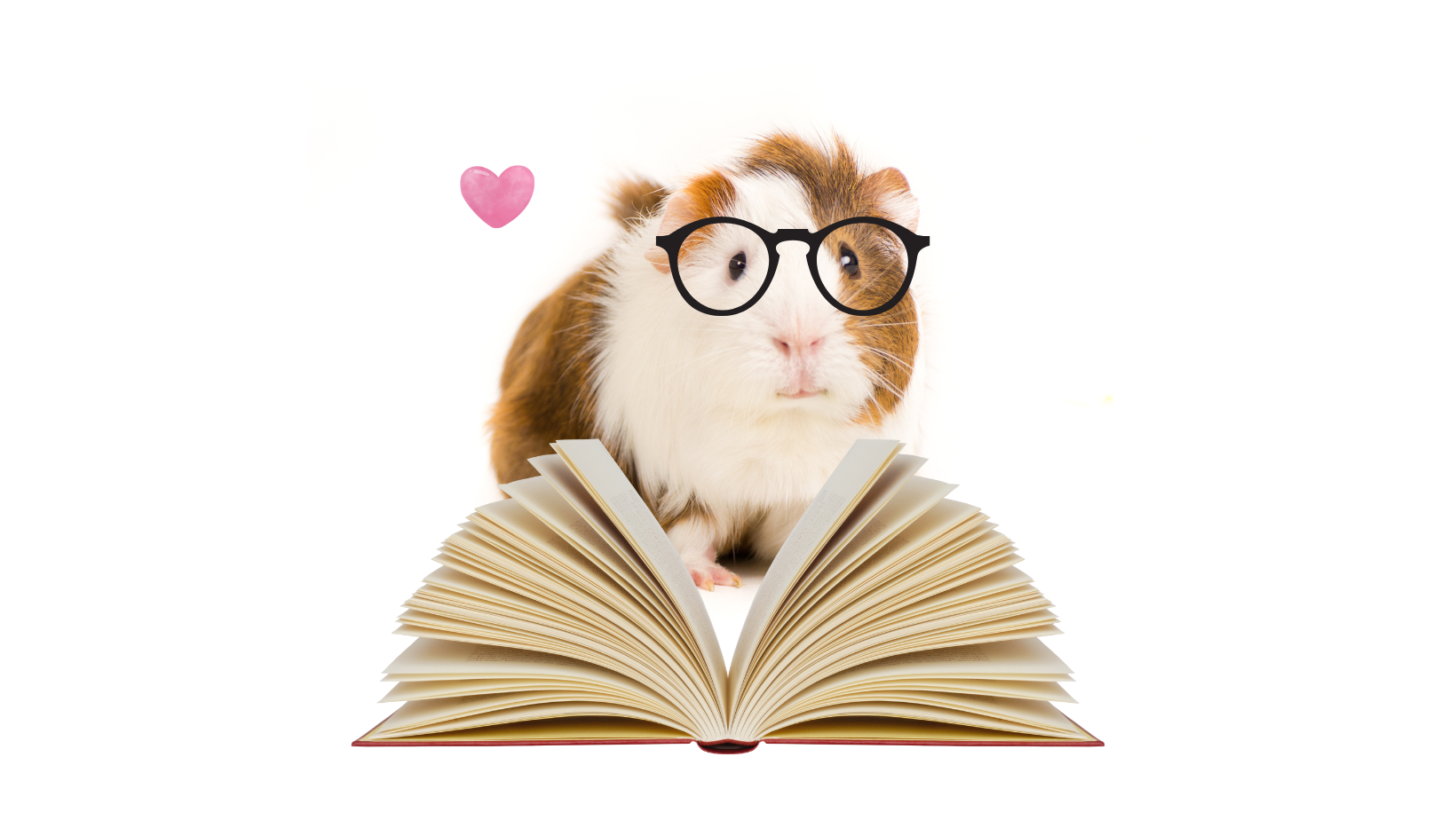 Read to a Guinea Pig