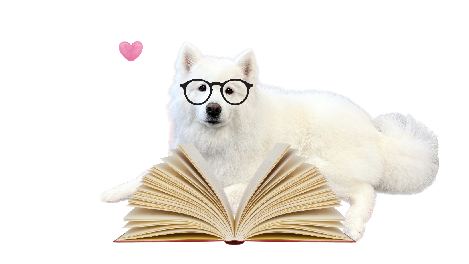Read to Kallista the Dog