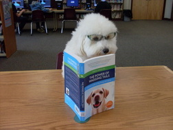 Reading Dogs