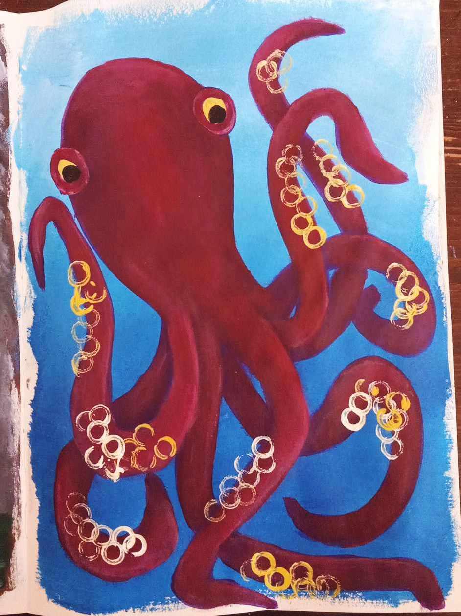 Octopus