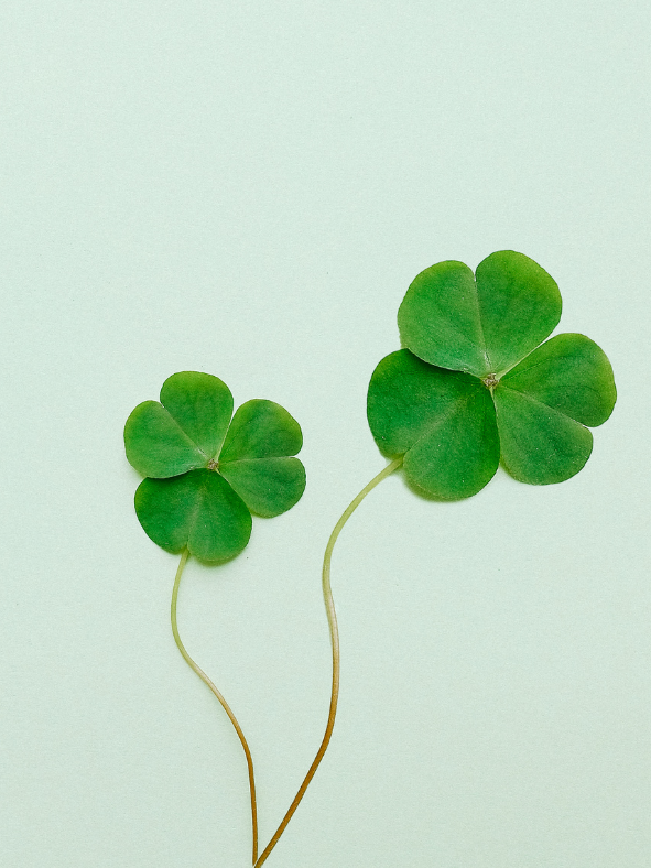 St. Patrick's Day Fun for Kids