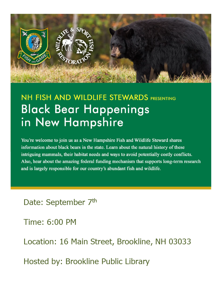 event flyer and info