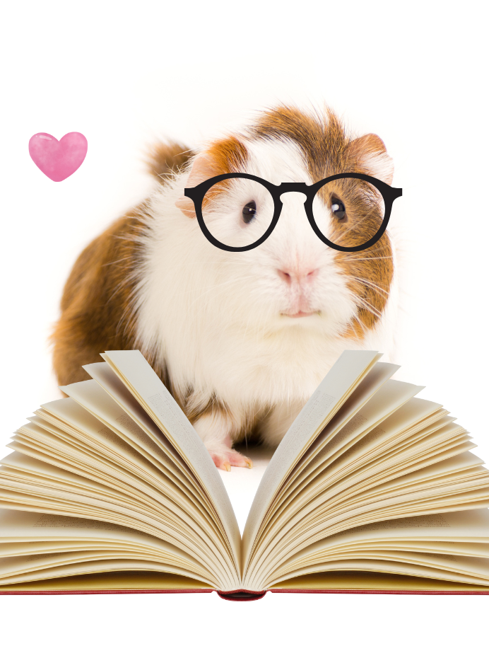 Read to a Guinea Pig