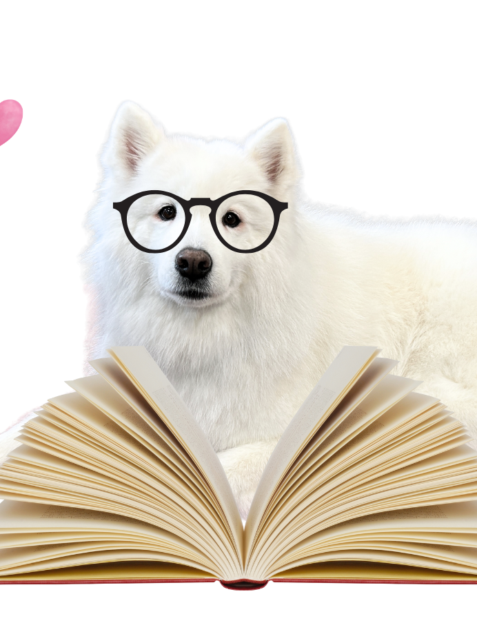 Read to Kallista the Dog